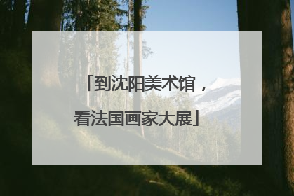 到沈阳美术馆，看法国画家大展
