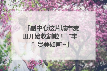 副中心这片城市麦田开始收割啦！“丰”景美如画~