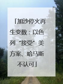加沙停火再生变数：以色列“接受”美方案、哈马斯不认可