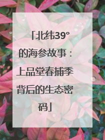 北纬39°的海参故事：上品堂春捕季背后的生态密码