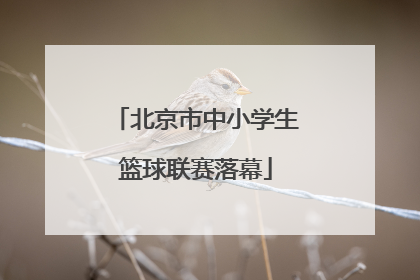 北京市中小学生篮球联赛落幕