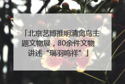 北京艺博推明清禽鸟主题文物展，80余件文物讲述“瑞羽鸣祥”