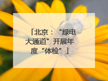 北京：“绿电大通道”开展年度“体检”