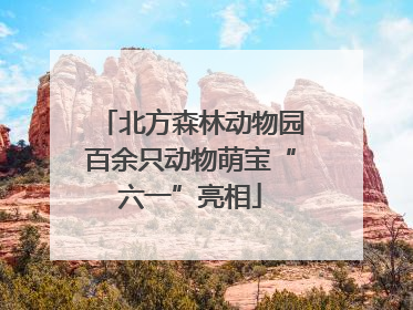 北方森林动物园百余只动物萌宝“六一”亮相