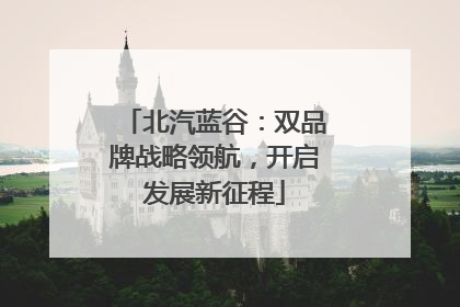 北汽蓝谷：双品牌战略领航，开启发展新征程