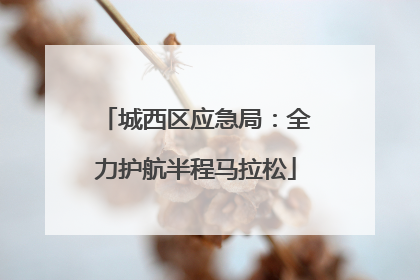 城西区应急局：全力护航半程马拉松