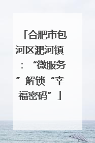 合肥市包河区淝河镇：“微服务”解锁“幸福密码”