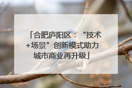 合肥庐阳区：“技术+场景”创新模式助力城市商业再升级