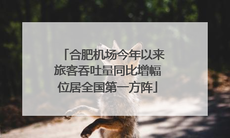 合肥机场今年以来旅客吞吐量同比增幅位居全国第一方阵