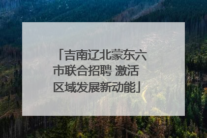 吉南辽北蒙东六市联合招聘 激活区域发展新动能