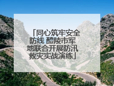 同心筑牢安全防线 醴陵市军地联合开展防汛救灾实战演练