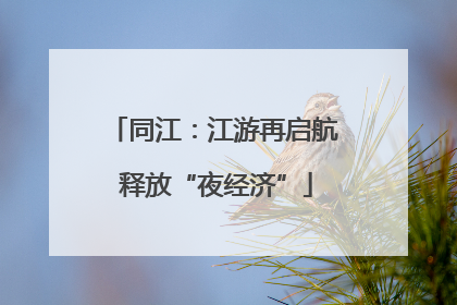 同江：江游再启航 释放“夜经济”