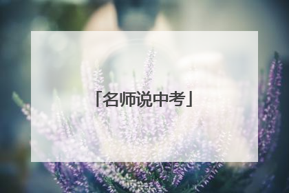 名师说中考