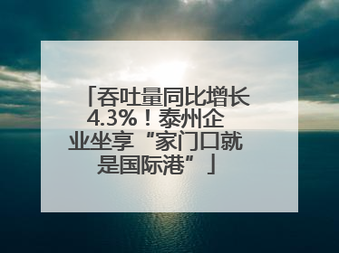 吞吐量同比增长4.3%！泰州企业坐享“家门口就是国际港”