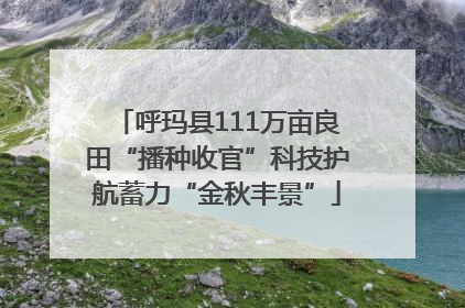 呼玛县111万亩良田“播种收官”科技护航蓄力“金秋丰景”