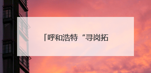 呼和浩特“寻岗拓岗促就业”活动收官 助企纾困显成效
