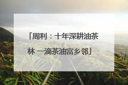 周利：十年深耕油茶林 一滴茶油富乡邻