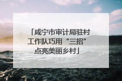 咸宁市审计局驻村工作队巧用“三招”点亮美丽乡村