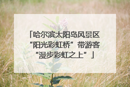 哈尔滨太阳岛风景区“阳光彩虹桥”带游客“漫步彩虹之上”