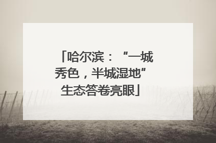 哈尔滨：“一城秀色，半城湿地”生态答卷亮眼