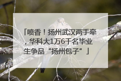 喷香！扬州武汉两手牵，华科大1万6千名毕业生争品“扬州包子”