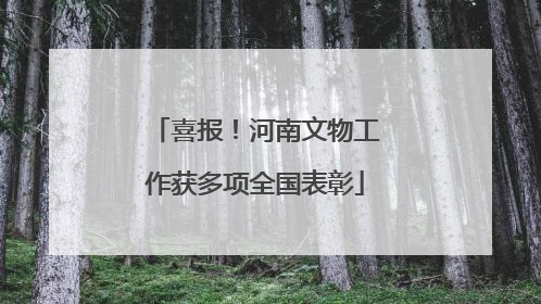 喜报！河南文物工作获多项全国表彰