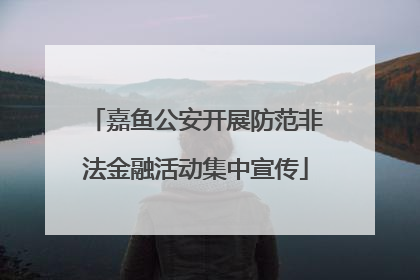 嘉鱼公安开展防范非法金融活动集中宣传