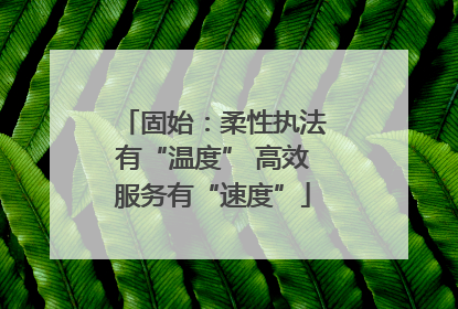 固始：柔性执法有“温度” 高效服务有“速度”