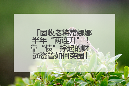 固收老将常娜娜半年“两连升”！靠“债”撑起的财通资管如何突围