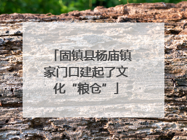 固镇县杨庙镇家门口建起了文化“粮仓”