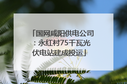 国网咸阳供电公司：永红村75千瓦光伏电站建成投运