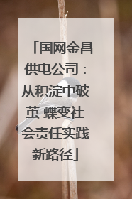 国网金昌供电公司：从积淀中破茧 蝶变社会责任实践新路径