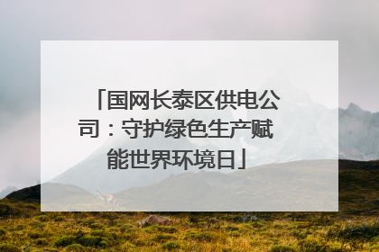 国网长泰区供电公司：守护绿色生产赋能世界环境日
