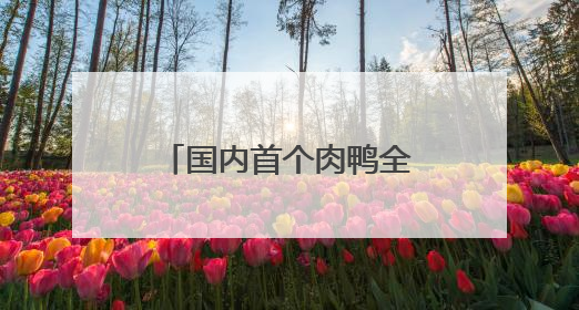 国内首个肉鸭全产业链碳足迹核算体系正式发布——泰安市肉鸭产业低碳发展标准示范项目顺利通过验收