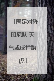 国足对阵印尼队 天气或成拦路虎