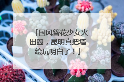国风簪花少女火出圈，昆明真把墙绘玩明白了！