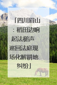 四川眉山：稻田边响起法槌声 巡回法庭现场化解耕地纠纷