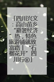 四川兴文：高山苗乡“避暑经济”热，特色旅游铺就致富路丨“石榴花开”四川行⑧