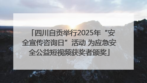 四川自贡举行2025年“安全宣传咨询日”活动 为应急安全公益短视频获奖者颁奖