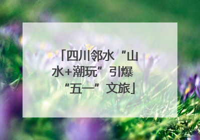 四川邻水“山水+潮玩”引爆“五一”文旅