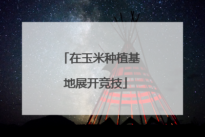 在玉米种植基地展开竞技