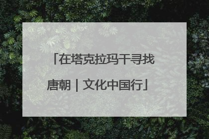 在塔克拉玛干寻找唐朝｜文化中国行