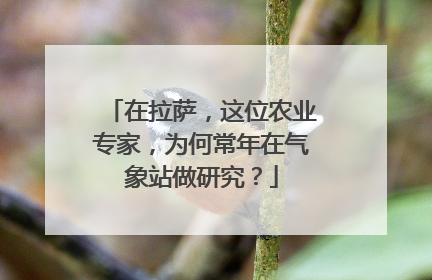 在拉萨，这位农业专家，为何常年在气象站做研究？