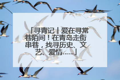 寻青记丨爱在寻常巷陌间！在青岛走街串巷，找寻历史、文艺、爱情……