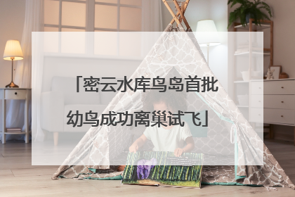 密云水库鸟岛首批幼鸟成功离巢试飞