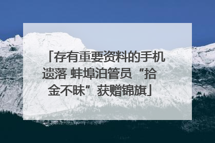 存有重要资料的手机遗落 蚌埠泊管员“拾金不昧”获赠锦旗