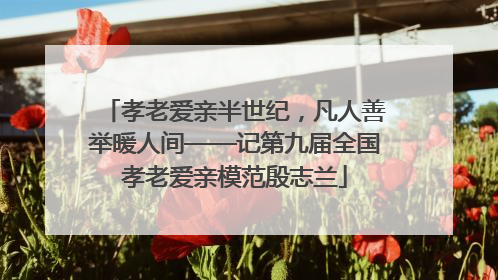 孝老爱亲半世纪，凡人善举暖人间——记第九届全国孝老爱亲模范殷志兰