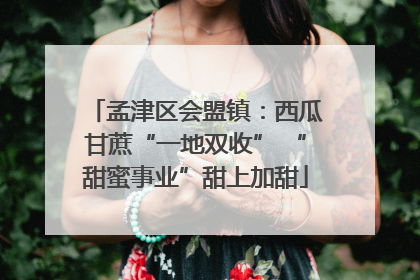 孟津区会盟镇：西瓜甘蔗“一地双收” “甜蜜事业”甜上加甜