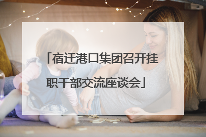 宿迁港口集团召开挂职干部交流座谈会