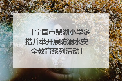 宁国市鼎湖小学多措并举开展防溺水安全教育系列活动